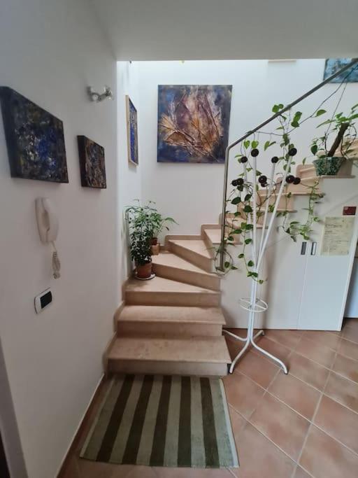 Scrigno Del Borgo-Intero Alloggio Montelupone Exteriér fotografie